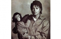 Шимпанзе Майкла Джексона станет героем анимационного фильма