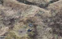 Искали коров: на Харьковщине двое мужчин взорвались на российской мине