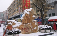 Китай засыпало снегом по самую макушку