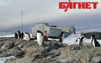 Украинскую станцию в Антарктиде посетили первые туристы и кит (ФОТО)