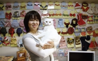 В Японии дизайнер создал коллекцию одежды для котов (ФОТО)