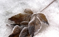 Погода на выходные: в Украине ударят морозы
