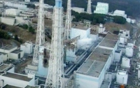 АЭС «Фукусима» без электричества оставила крупная крыса 