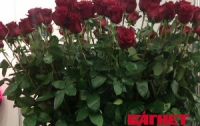 Виктор Янукович получит большой букет бордовых роз