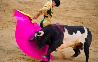 Испанский матадор лишился скальпа, столкнувшись с быком во время корриды