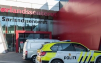 В Норвегии девушка-подросток напала с ножом на людей