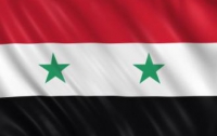 Сирия допустила наблюдателей из арабских стран