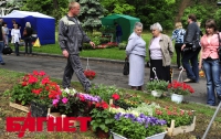 Власти решили озеленить Киев ко Дню Независимости