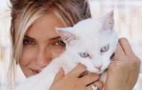 Звезды Голливуда показали своих кошек (ФОТО) 
