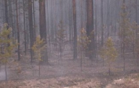 Под Ялтой спасатели третий день не могут загасить лесной пожар