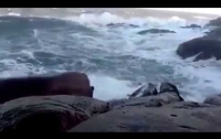 Любителей селфи смыло на берегу со скалы (видео)