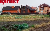На Киевщине продолжается земельный дерибан