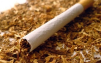 Украина и Британия объединят усилия в борьбе с табачной контрабандой