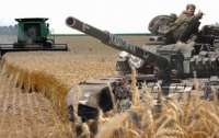 Оккупанты не смогли украсть зерно, поскольку раньше уже украли комбайны (видео)