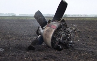 Под Москвой прямо на взлетно-посадочной полосе разбился самолет, есть жертвы