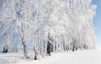 Украину засыплет мокрым снегом