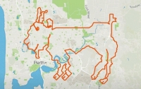 Велосипедисты нарисовали на карте козла