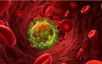Генетики выяснили, откуда взялся ВИЧ