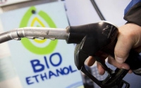 Украина и Словакия совместно будут производить биотопливо