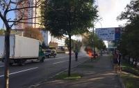 В Киеве дотла сгорел автомобиль на обочине