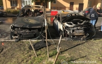 Под Киевом подожгли семь иномарок