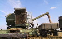 В Украине намолотили первый миллион тонн зерновых 