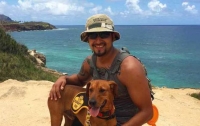 Туристы на Гавайях смогут брать напрокат собак
