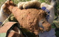  На Днепропетровщине пенсионер нашел в огороде огромную бомбу