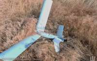 ЗСУ в Херсонській області знищили два російські безпілотники