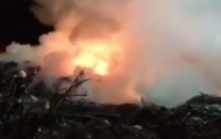 Ночью в Киеве загорелась свалка около Берковецкого кладбища (видео)