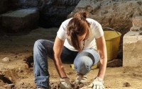 Яйца динозавров с останками эмбрионов нашли в Аргентине