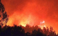 Израильский турист неумышленно уничтожил 110 кв. км леса в Чили
