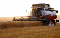 Налоговый кодекс разорит отечественных аграриев на 12 млрд грн. 