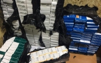 В Украину везли контрабандные лекарства из Польши