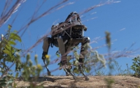 Робот-собака обучается применять военные хитрости на практике