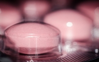В Украине обнаружили в продаже десятки незаконных лекарств