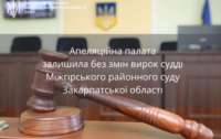 Апеляційна палата залишила без змін вирок судді Міжгірського районного суду Закарпатської області
