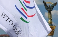 Россия, Венесуэла и Аргентина подали иск в ВТО на Украину