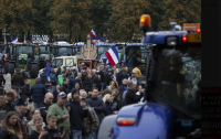 Нидерландские фермеры устроили протест на тракторах