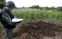 Силовики нашли могилу замученных террористами священников из Славянска