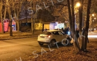 В Харькове уличная драка из-за собаки закончилась смертью в ДТП