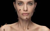 Анджелина Джоли устроила фотосессию с роем пчел (видео)