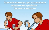 Что делать, если отравились грибами, - советы эксперта
