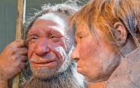 Ученые: неандертальцы не были агрессивными