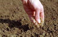 В Украине для повышения плодородности почвы создадут специальный Госфонд