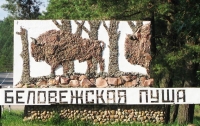 Суд ЕС временно запретил Польше рубить лес в Беловежской пуще