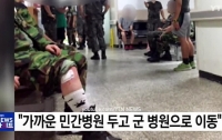 В Южной Корее осы сорвали совместные с американцами военные учения