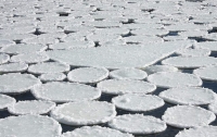 Река под Полтавой покрылась идеально круглыми льдинами (видео)