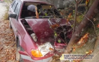 На Тернопольщине ВАЗ врезался в дерево: погиб водитель