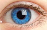 Создана искусственная радужная оболочка глаза (ВИДЕО)